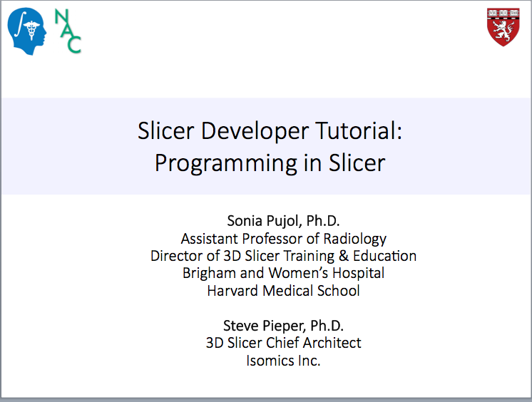 Slicer Programming